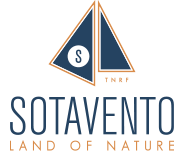 Sotavento Salt & Sea Apartments